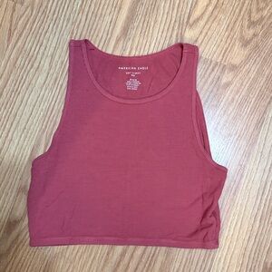 American Eagle Outfitters Women's Rust Crop Top